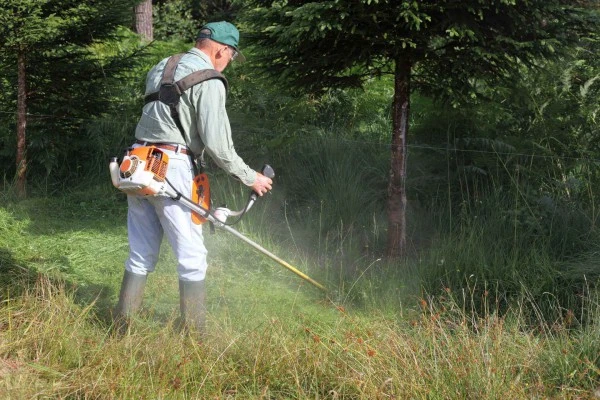 Débroussailler pour prévenir les feux de forêt Fréjus
