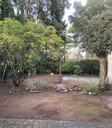 Abattage d'arbre Fréjus