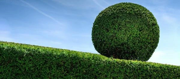 Entreprise d'entretien de jardins à Fréjus et environ