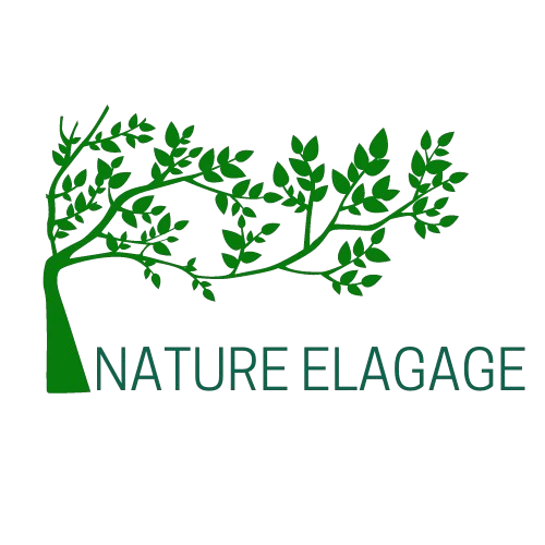 NATURE ELAGAGE