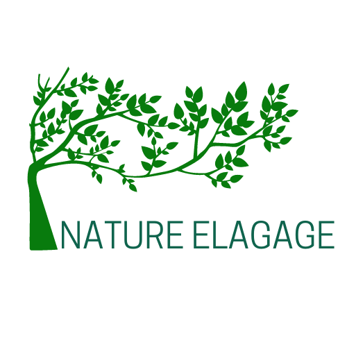 NATURE ELAGAGE